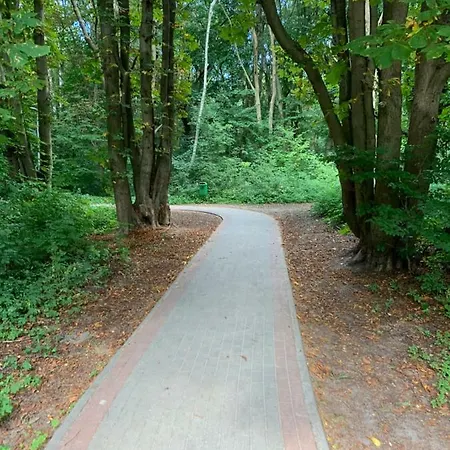 Polanki Park C402 Kołobrzeg